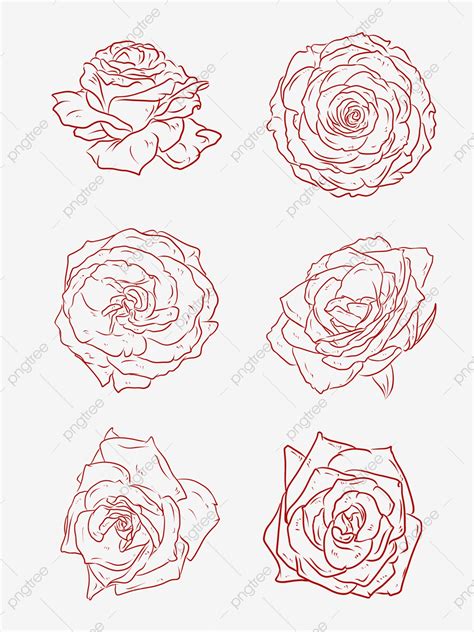 Line art colour adalah kelanjutan dari line art yang sebelumnya. 20+ Gambar Bunga Mawar Line Art Terpopuler - Informasi ...