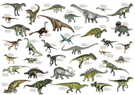 Image Result For Dinosaurs Names Dinosaur Pictures Dinosaur Drawing