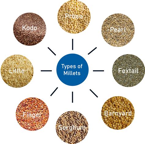 Types And Benefits Of Millets