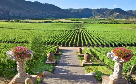 The Heart Of Chilean Wine Country Santa Cruz And Viu Manent Vineyards Chile Dream Tours