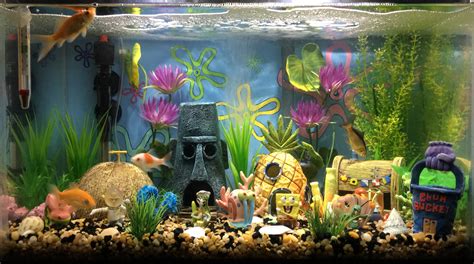 Various styles make aquarium décor possibilities endless & provide a safe space for your and help your tank look larger than life with a stunning aquarium background. Setup the Best Spongebob Fish Tank Decorations {Guide 2019}