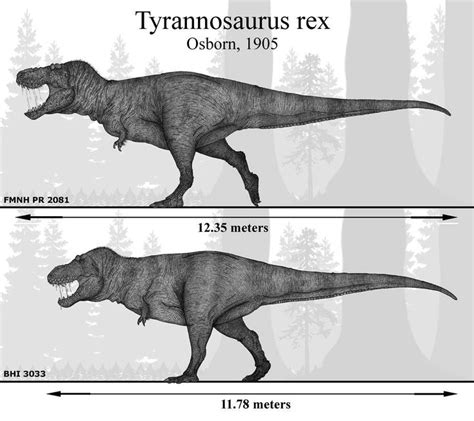 The Mightiest Of Them All Tyrannosaurus Rex By Paleonerd01