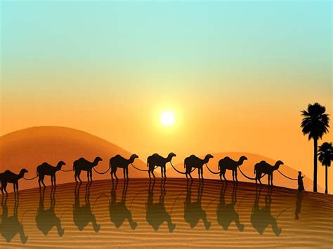 Abstract Desert Sun Desert Abstract Camel Hd Wallpaper Peakpx