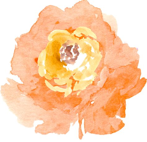 View Watercolor Flower Vector Png