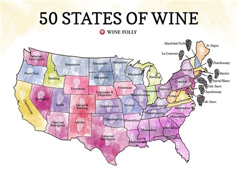 50 States Of Wine Map Wine Folly Wine Map Growing Wine