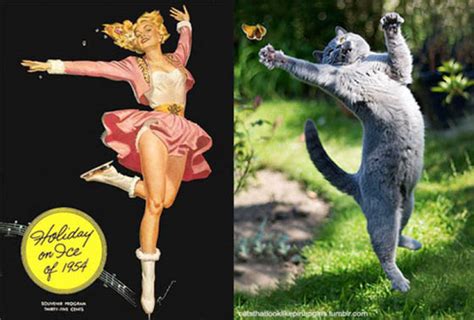 Hilarious Pictures Of Cats Poses Like Pin Up Girls Design Swan