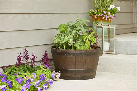 Growing Vegetables In Containers Better Homes And Gardens