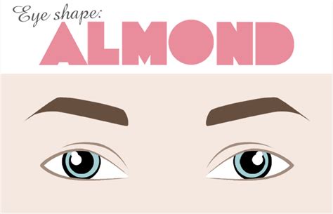 Eye And Eyebrow Drawing Free Download On Clipartmag
