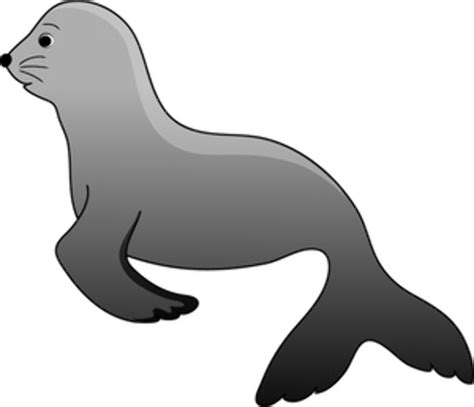 Download High Quality Seal Clipart Sea Lion Transparent Png Images