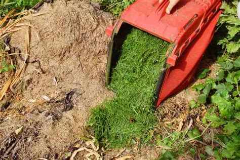 How To Compost Grass Clippings Fast