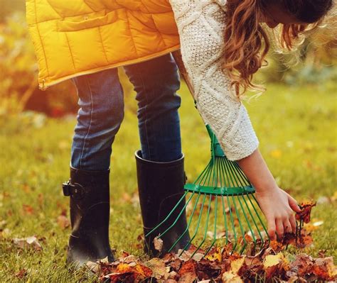 Fall Cleanup How To Plan For Success Through The Garden