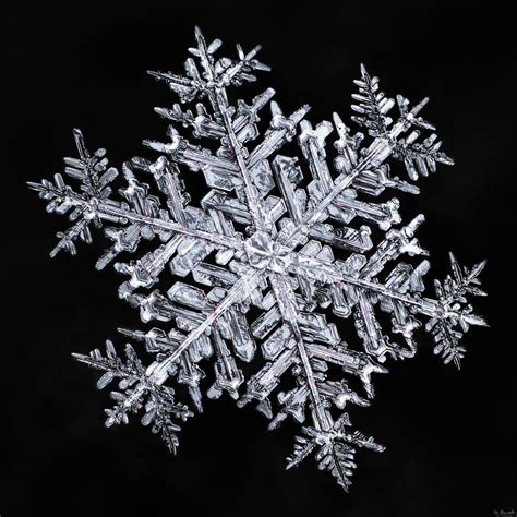 Sign In Snowflake Photography Snowflake Images Snowflake Pictures