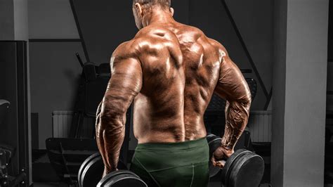 How To Build A Bigger Back From Top To Bottom Fitness Volt