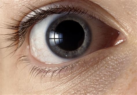 Front View Of Human Eye With Dilated Pupil Photograph By Adam Hart