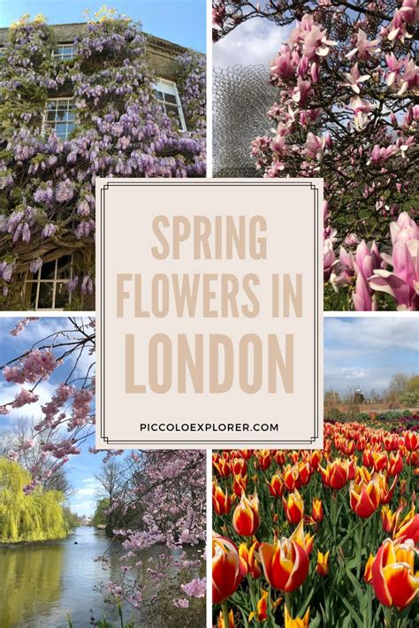 Spring Flowers In London Best Places To See Spring Blossoms