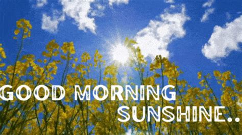 Beautiful Good Morning Sunshine  Images Mk