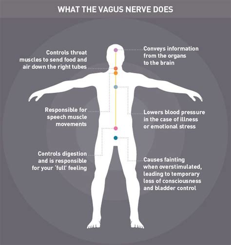 Vagus Nerve Stimulation Infographic Video Instructions For Your
