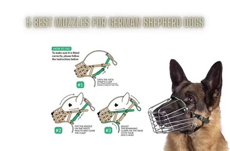 5 Best Muzzles For German Shepherd Dogs