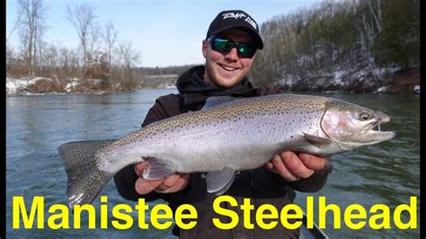 Manistee River Steelhead Fishing Youtube
