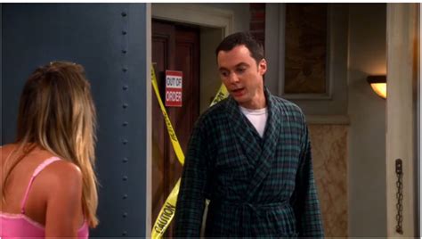 The Big Bang Theory Episode 701 The Hofstadter Insufficiency Review