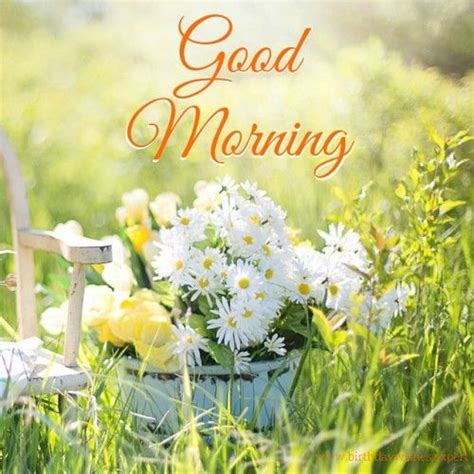 If you are searching for beautiful good morning images, then we are the most trusted source. The meaning and symbolism of the word - «Morning»