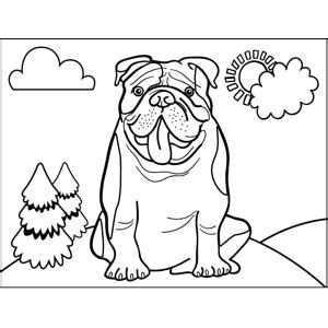 French bulldogs also for sale! Panting Bulldog Coloring Page