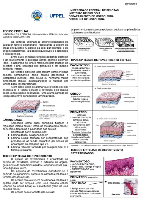 Resumo Tecido Epitelial E Glandular Universidade Federal De Pelotas