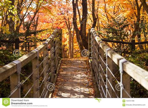 Wood Bridge With Colorful Leaves In Autumn Stock Image Image Of Tree