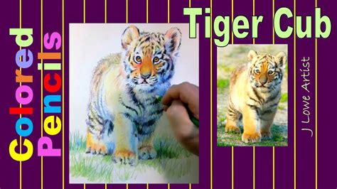 How To Draw Tiger Cub Step By Step Youtube