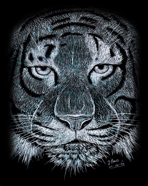 Tiger Scratch By Jenthethirdgal On Deviantart