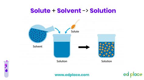 Explain The Difference Between A Solute And A Solvent