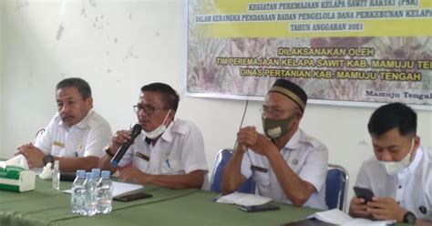 10 000 Hektar Lahan PSR Di Sulbar Masih Tahap Proses Kadisbun Sulbar