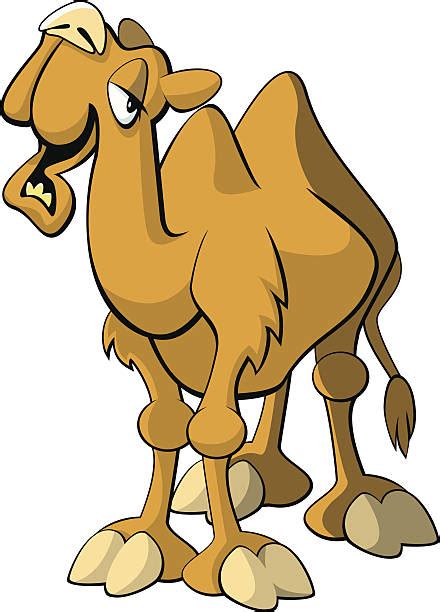 Clipart Camel Pictures Hump