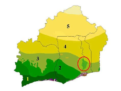 Adobe illustrator.ai eps vector files from our netmaps database. Jungle Maps: Map Of Africa Vegetation Zones