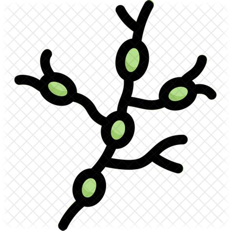 Lymph Nodes Icon Download In Colored Outline Style