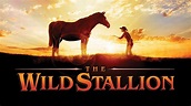 The Wild Stallion (2009) | Full Movie | Connie Sellecca | Fred Ward ...