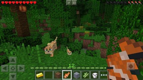 Minecraft Pocket Edition Apk For Android 021 Download Free