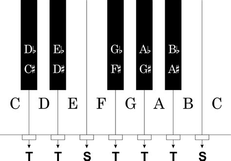 Klaviertastatur druckvorlage / als druckvorlage werden alle notwendigen unterlagen zur herstellung von druckformen in den. Klaviertastatur Druckvorlage - Klaviertastatur Vorlage Klaviertastatur Bilder Zum Ausdrucken ...