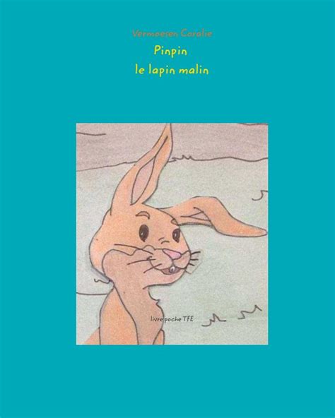 Pinpin Le Lapin Malin By Vermoesen Coralie Blurb Books