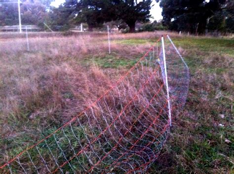 How does an electric fence work? Portable Electric Fencing - Heritage Farm