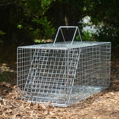 Feral Cat Trapping Professional Trapping Supplies
