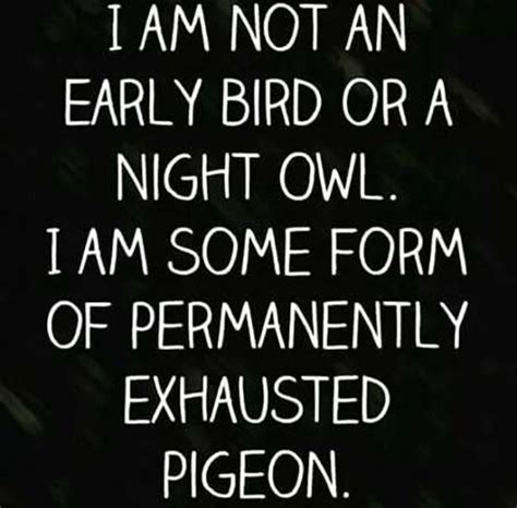 I Am Not An Early Bird Or Night Owl I Am Some Form Of Permanently