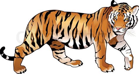 Red Tiger Cartoon And Vector Isolated Stock Vector