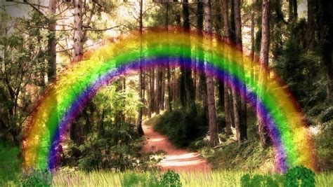 Enchanted Forest And Rainbow Background Stock Footage Video 8161651