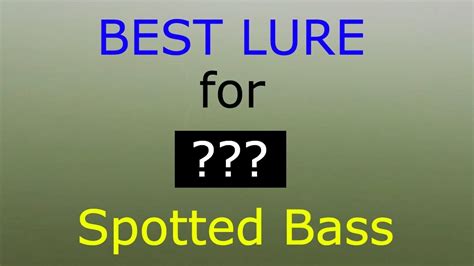 The Best Spotted Bass Fall Lure With Underwater Footage Youtube