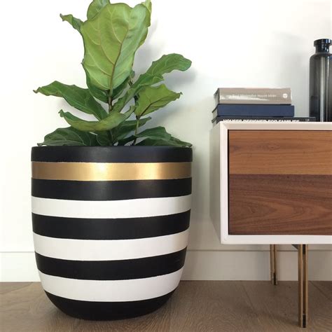 10 Pots For Your Indoor Plants From Budget To Luxe The Interiors Addict