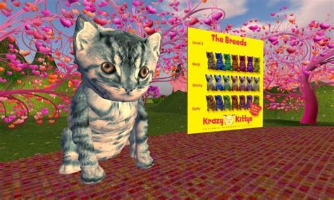 Second Life Destination Guide A Virtual World Directory For Your
