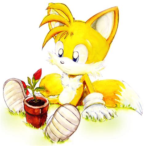 Tails And Cosmo Sonic Couples Fan Art 16966639 Fanpop