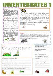 Animals that lack a backbone, account for more than 95% of species, morphologically diverse and occupy almost every habitat on earth. ANIMALS (Vertebrates and Invertebrates) - ESL worksheet by ...