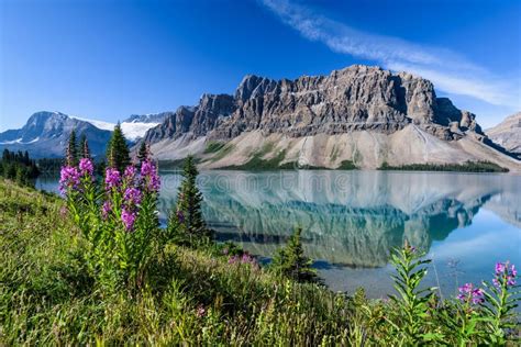 Bow Lake Banff National Park Alberta Canada Stock Image Image Of Lake Icefields